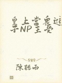 皇上当众进入太子NP主受