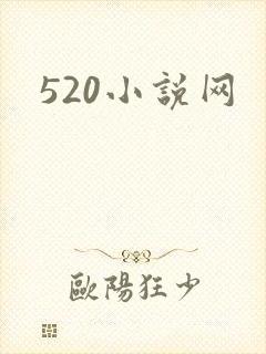 520小说网