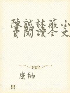 陈诚林薇小说免费阅读全文最新章节