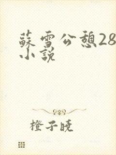 苏雪公憩28篇小说
