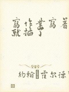 写作业写着写着就插了