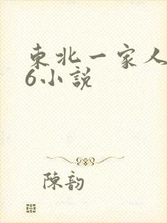 东北一家人1一6小说