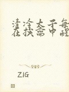 清冷太子每日都在挨龠中醒来小说