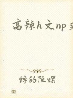 高辣h文np爽