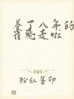 养了八年的金丝雀飞走啦封面