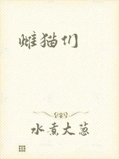 雌猫们封面