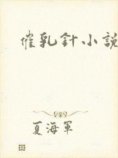 催乳针小说