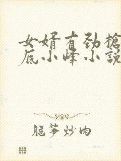 女婿有劲枪枪到底小峰小说