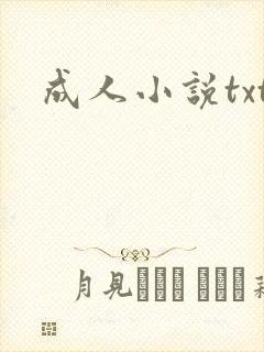 成人小说txt