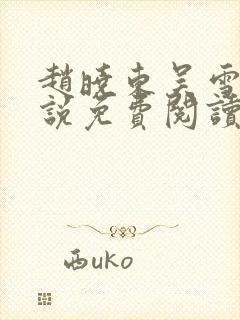 赵晓东吴雪晴小说免费阅读封面