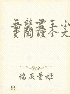 无双君王小说免费阅读全文封面