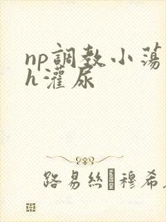 np调教小荡货h灌尿