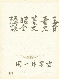 陆昭菱晋王的小说全文免费阅读