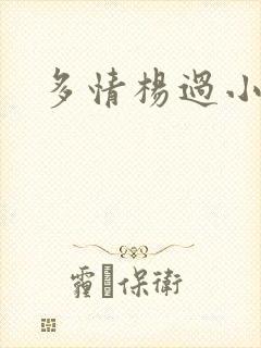 多情杨过小说封面