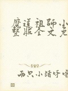 魔道祖师小说完整版全文免费阅读封面