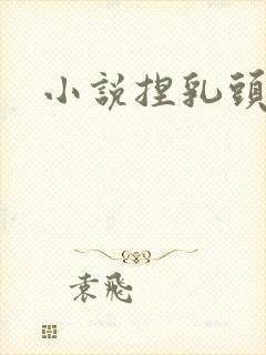 小说捏乳头封面