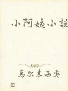 小阿姨小说