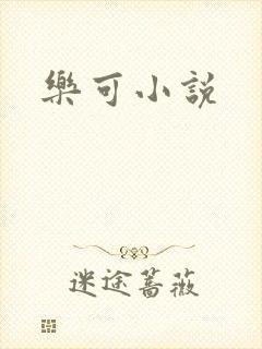 乐可小说