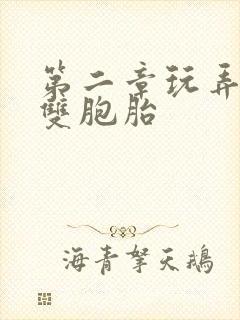 第二章玩弄少妇双胞胎