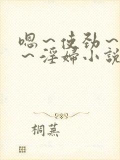 嗯～使劲～别停～淫妇小说