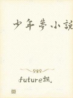 少年梦小说