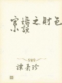 官场之财色诱人小说