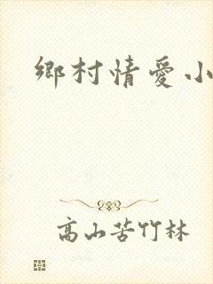 乡村情爱小说