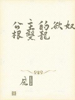 公主的欲奴h四根双龙