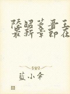 陆昭菱晋王小说最新章节在线阅读封面