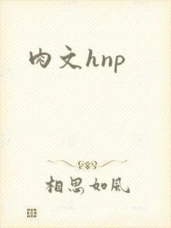 肉文hnp