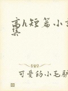 高h短篇小说合集封面