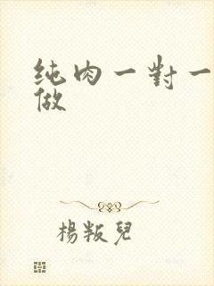 纯肉一对一到处做
