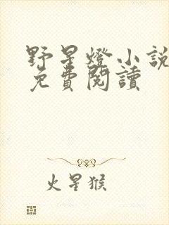 野星灯小说全文免费阅读