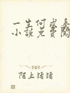 一生何求秦菲雪小说免费阅读