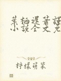 叶栖迟萧谨行的小说全文免费阅读最新章节