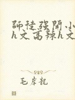 师徒强开小嫩苞h文高辣h文封面