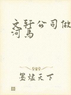 文轩公司做扩张河马封面