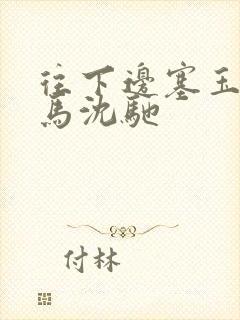 往下边塞玉器骑马沈驰封面