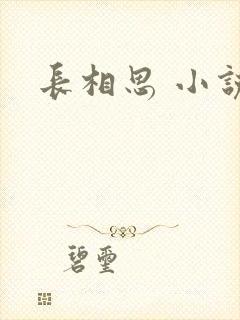 长相思 小说封面