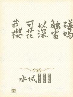 我可以触碰你的樱花深处吗封面