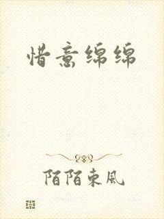惜意绵绵封面