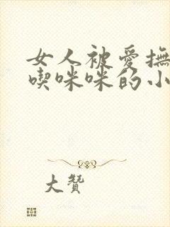 女人被爱抚揉捏吃咪咪的小说