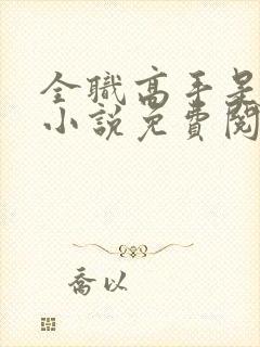 全职高手是女生小说免费阅读