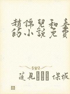 赵锦儿和秦慕修的小说免费阅读全文封面