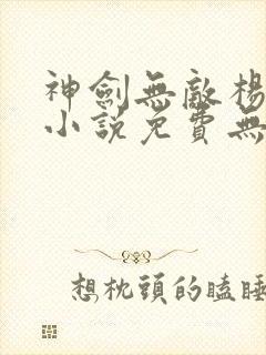 神剑无敌杨小天小说免费无弹窗