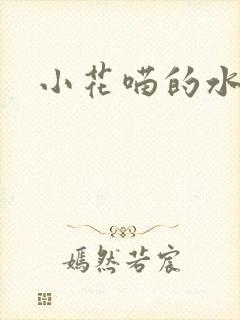 小花喵的水蜜桃