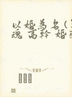 以婚为名 (军魂 高干 婚恋)