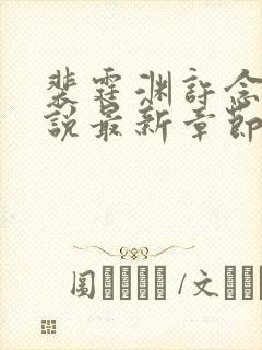 裴霆渊许念笙小说最新章节免费阅读