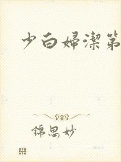 少白妇洁第二部封面