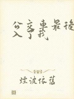 公交车最后一排入了我封面